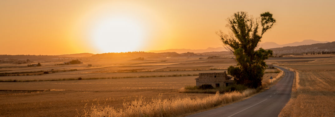 Country road at sunset.
