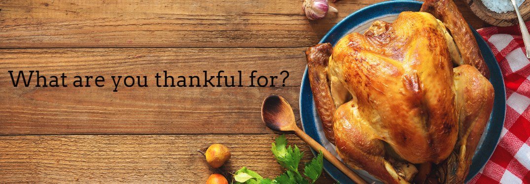What are you thankful for with turkey on wood table