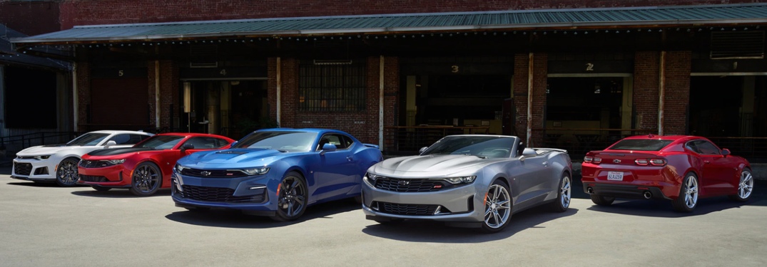 2020 Chevrolet Camaro cars lined up