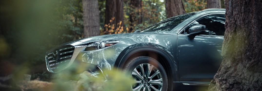 2021 Mazda CX-9 in forest area