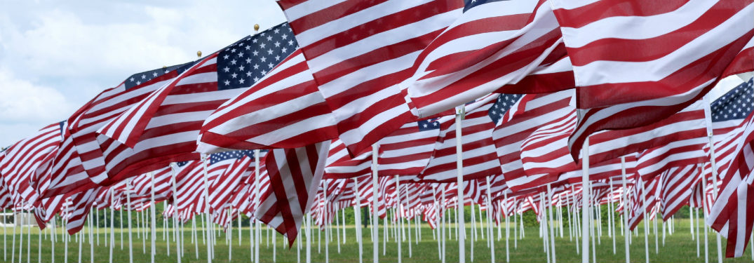hundreds of small american flags planted in grass blowing in the wind