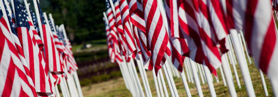 rows of small american flags planted together in grass
