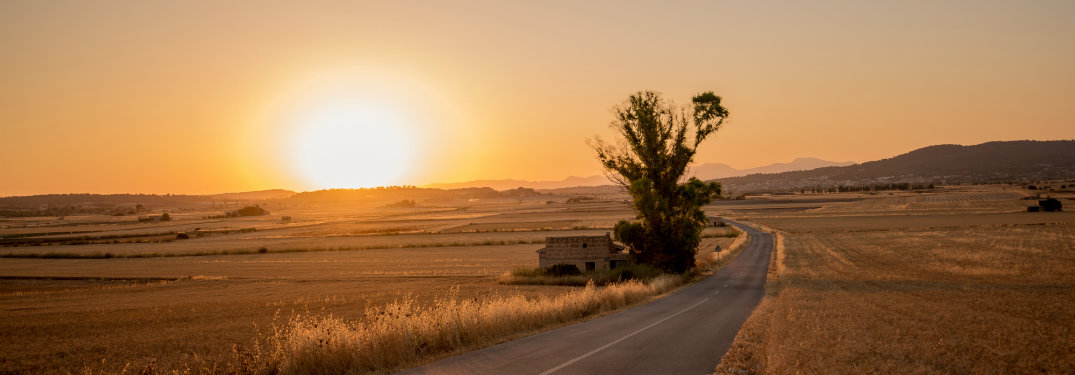 empty rural road, sun setting