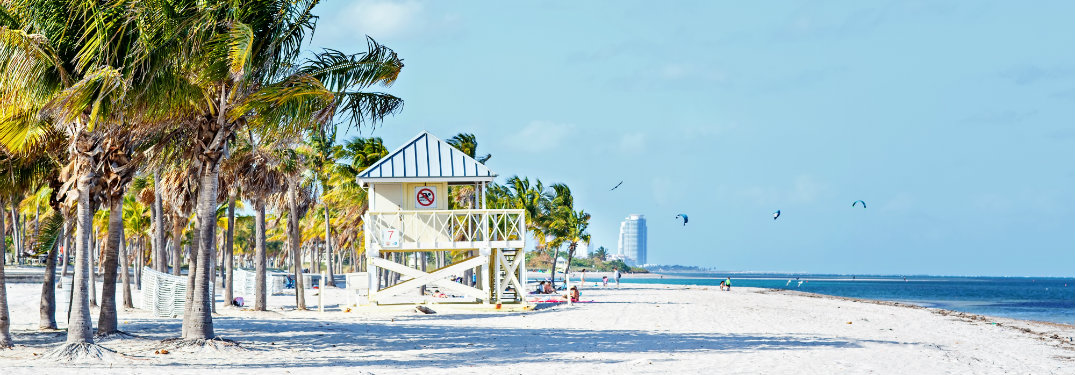 beach hut, palm trees