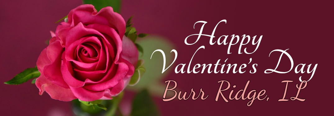 Happy Valentine's Day Burr Ridge with a single rose