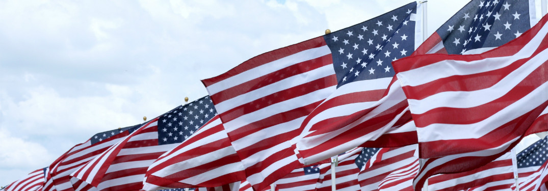 american flags lined in rows waving in the wind