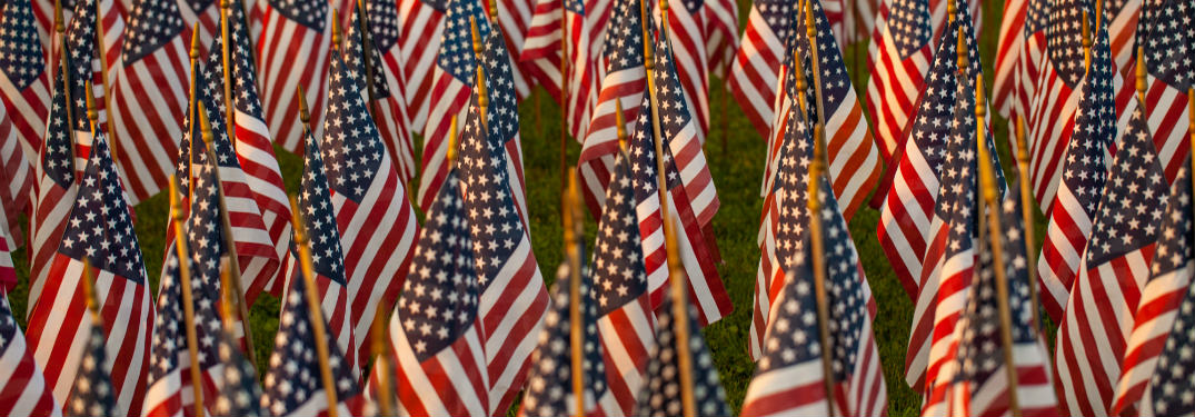 group of small american flags planted in grass together in rows