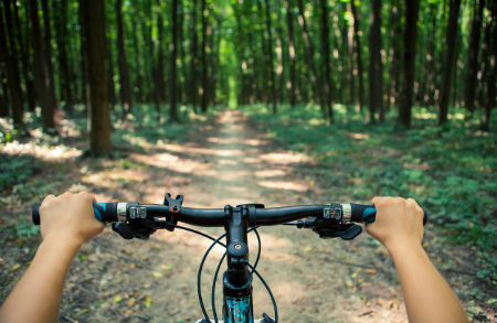 Best Bike Trails Near Crystal River 