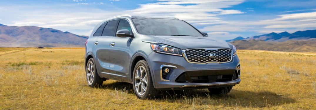 2020 Kia Sorento front passenger side in field
