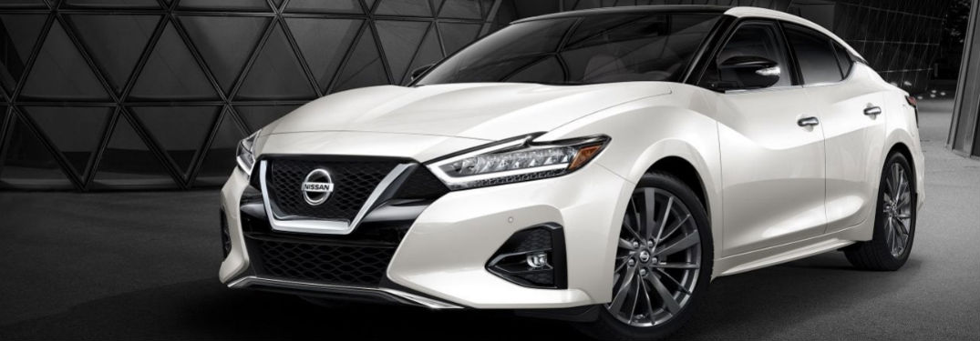 Nissan Maxima front and side profile