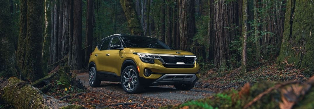 2021 Kia Seltos parked in the woods