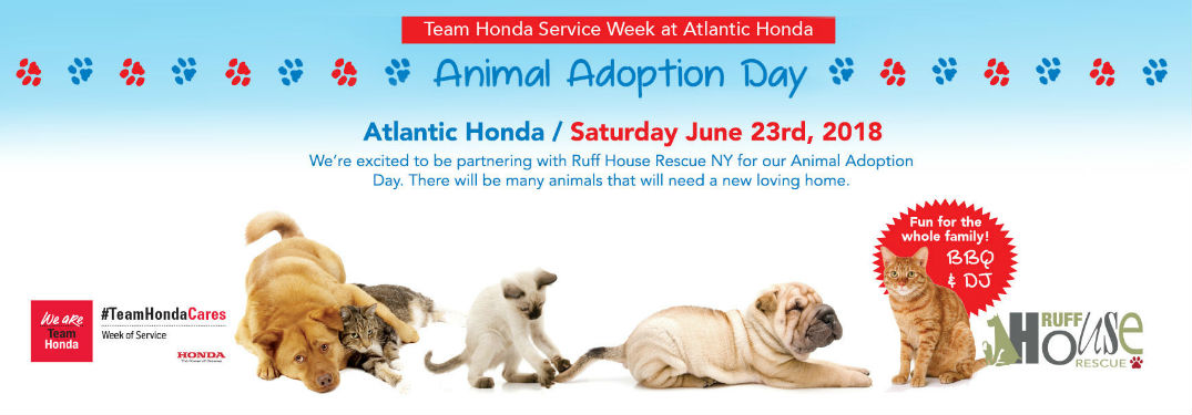 Atlantic Honda hosts Ruff House Rescue Adoption Event