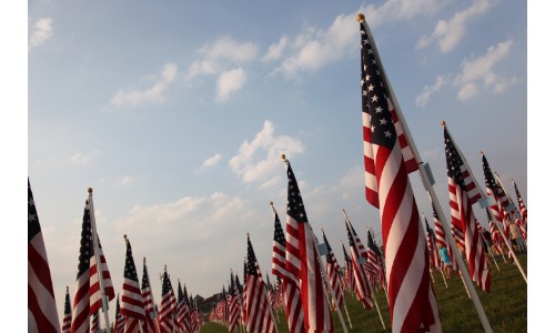 a field of american flag for independence day and memorial day
