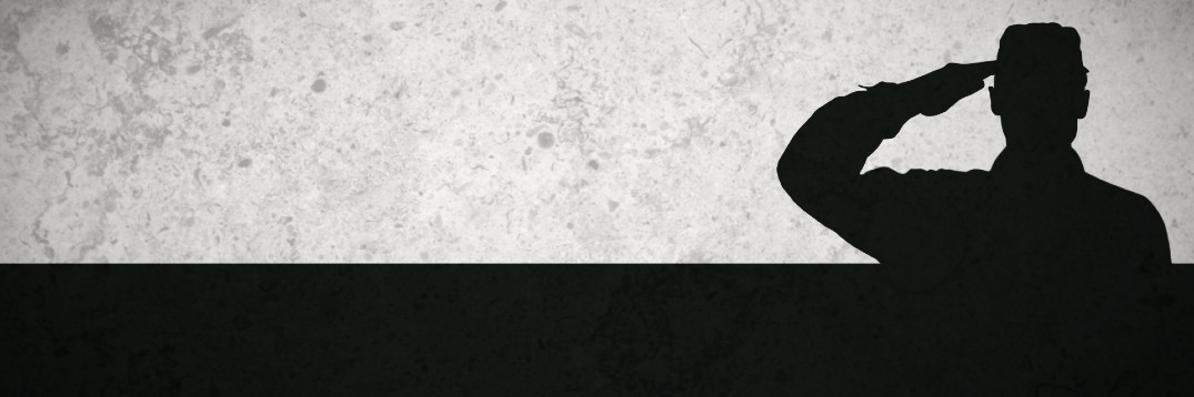 the silhouette of a saluting military serviceman against a gray background
