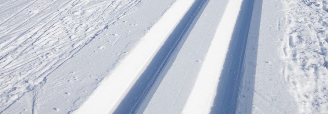 two tracks in the snow