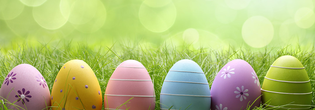 Easter eggs in front of grass