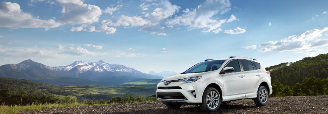 2018 Toyota RAV4 parked in the mountains