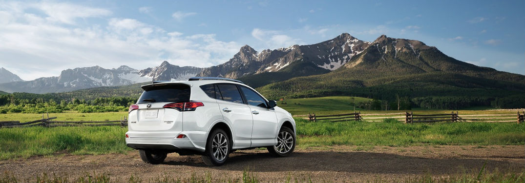 2018 toyota rav4 in front of mountains on a beach from rear