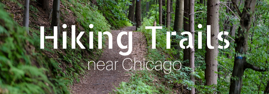 forest trail image that says hiking trails near Chicago