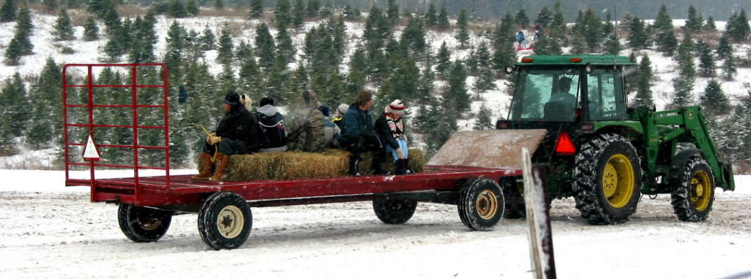 People riding in the back of a tractor