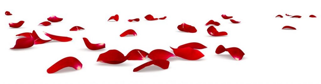 Honda Ridgeline Lease >> Red Rose Petals Scattered On The Floor - Continental Honda Honda Ridgeline Lease >> Red Rose Petals Scattered On The Floor - Continental Honda