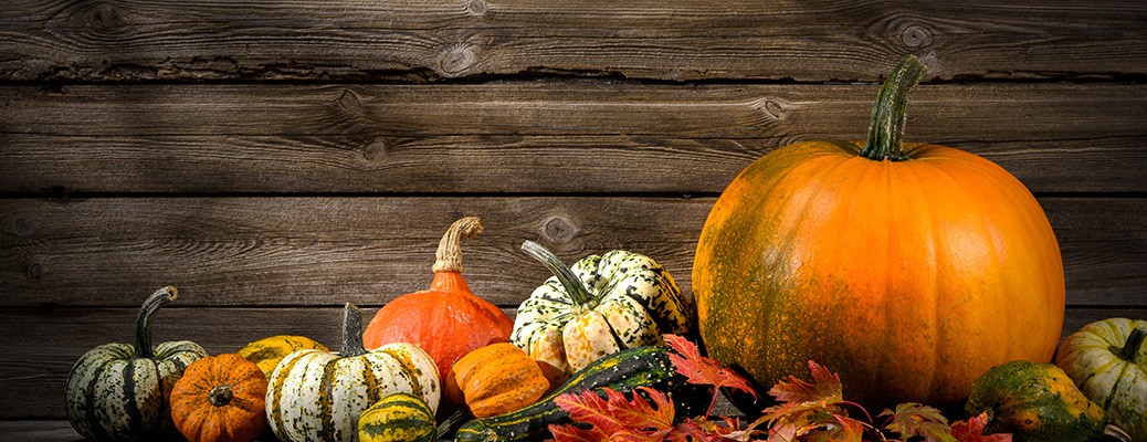 pumpkins by a wooden wall