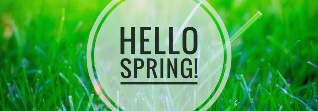 hello spring text on green grass