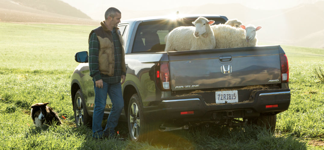 What song are the sheep singing in the Honda Super Bowl commercial?