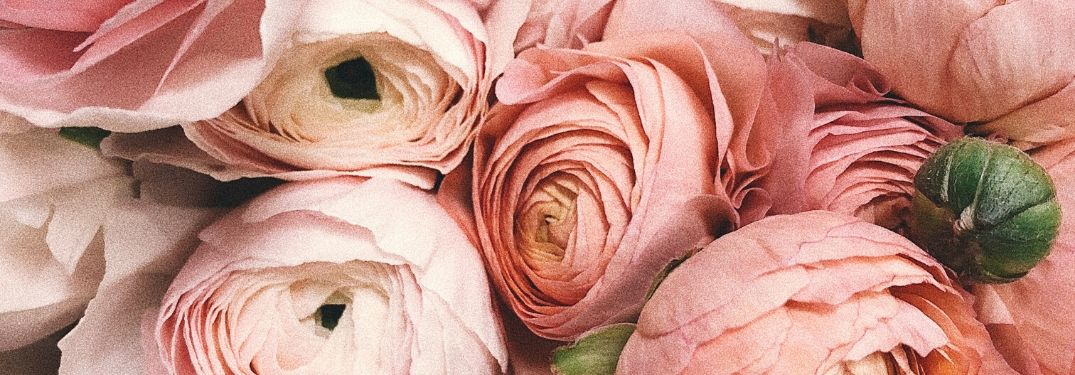 A close-up retro-grain image of some flower tips.
