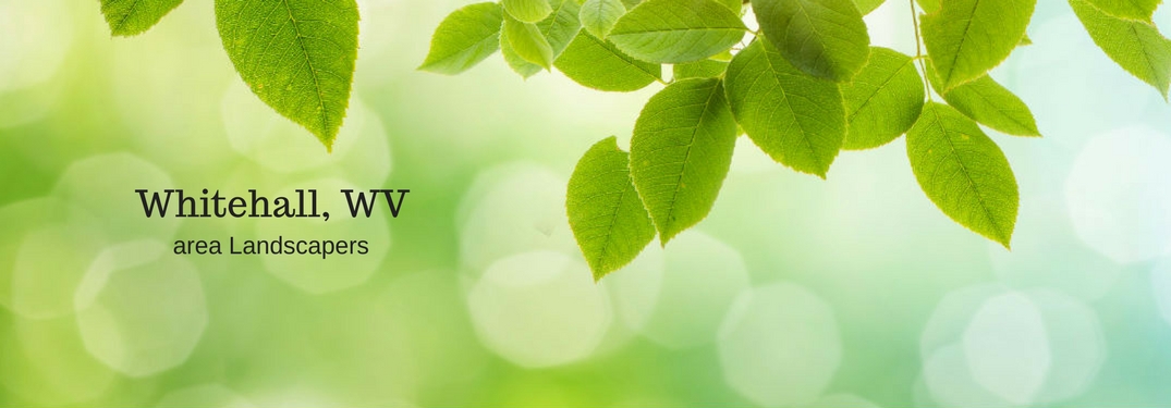 Whitehall, WV area Landscapers, text on an image of green leaves hanging in the air