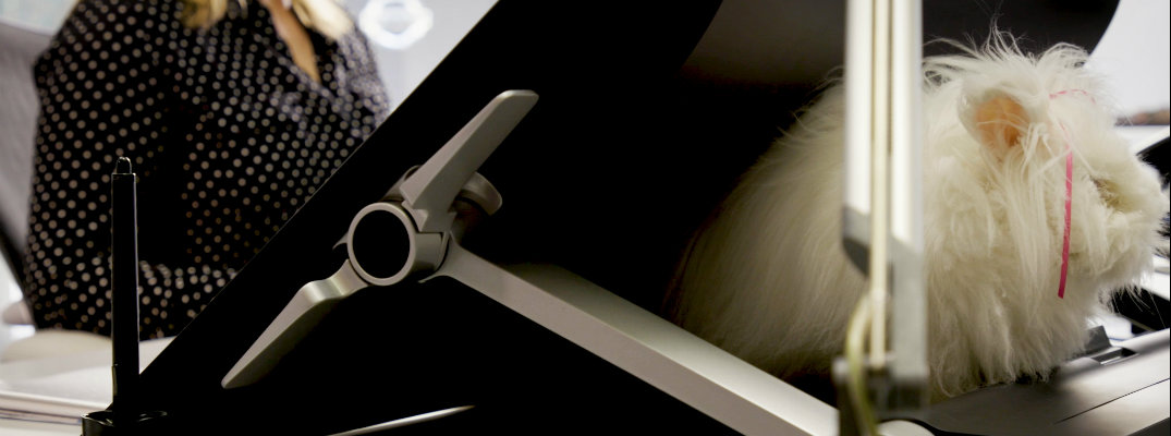 Bunz the Bunny at Nissan Office hiding behind a computer monitor in white fur