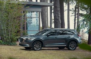 2020 Mazda CX-9 parked in the woods