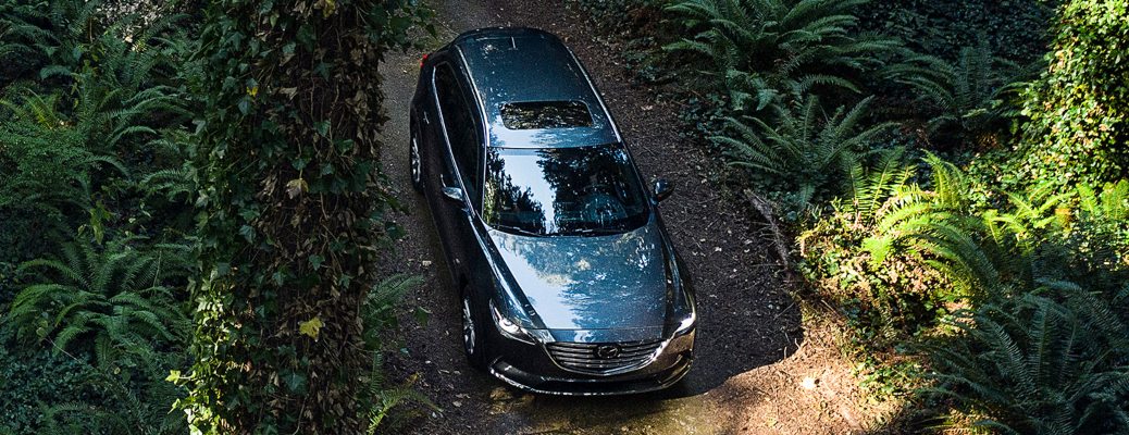 2021 Mazda CX-9 gray top view