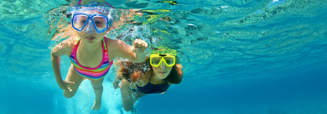 A family swimming underwater