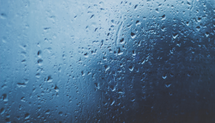 Rain drops on a window
