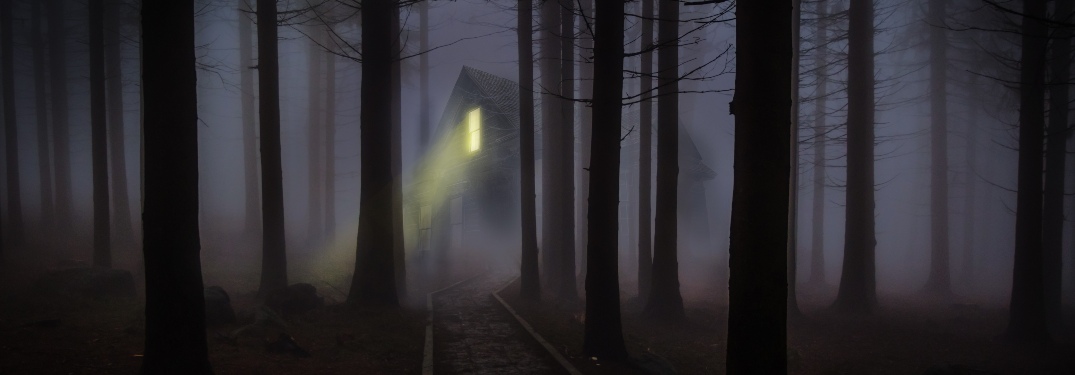 A house in a dark woods at night