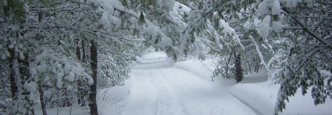 A snowy road in winter