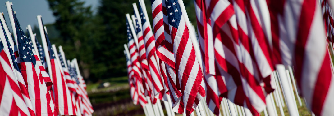 rows of smaller american flags planted in grass