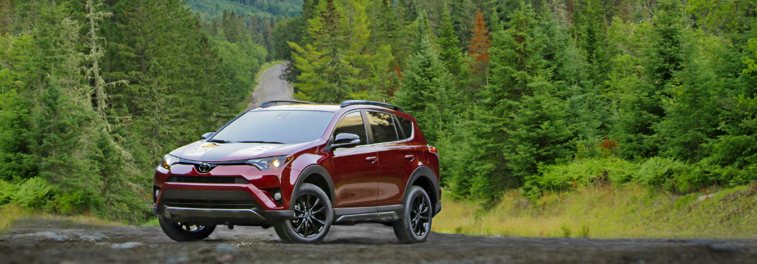 red and black 2018 toyota rav4 on dirt forest road with trees surrounding it