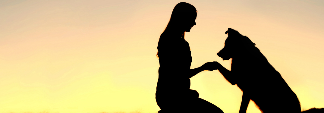 silhouette of woman on knees holding paw of dog sitting