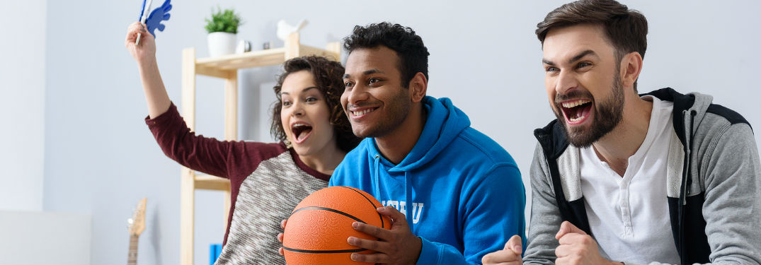 Basketball fans