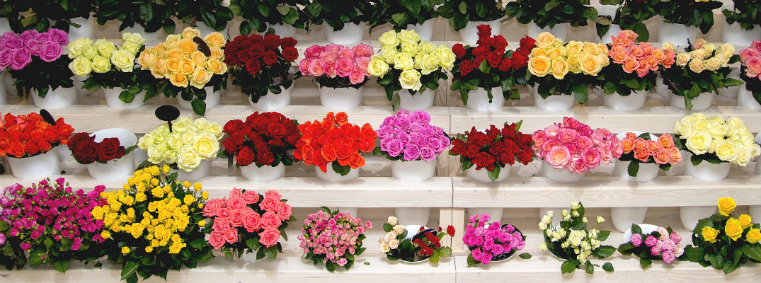 rows of colorful flower assortments, bouquets, and vases set up inside a florist shop