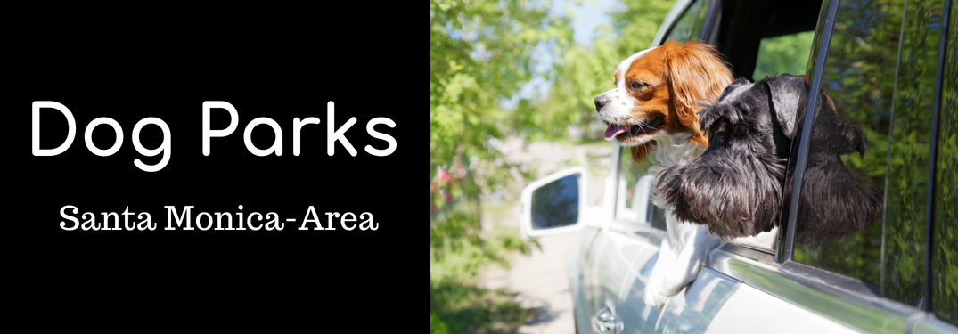 Dog Parks Santa Monica-Area and Two Dogs Relaxing by a Car Window