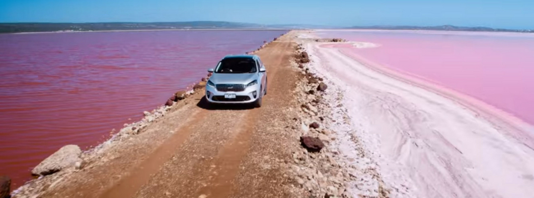 2019 Kia Sorento surrounded by colorful water