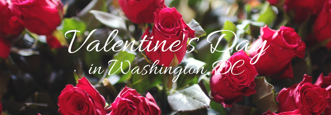 Best Restaurants for Valentine’s Day 2019 in Washington DC