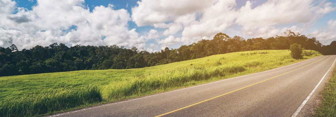 Country road on a sunny summer day