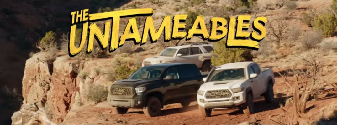 Screenshot from the Toyota Untameables Commercial