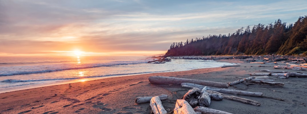 A stock photo of a beach at dawn.