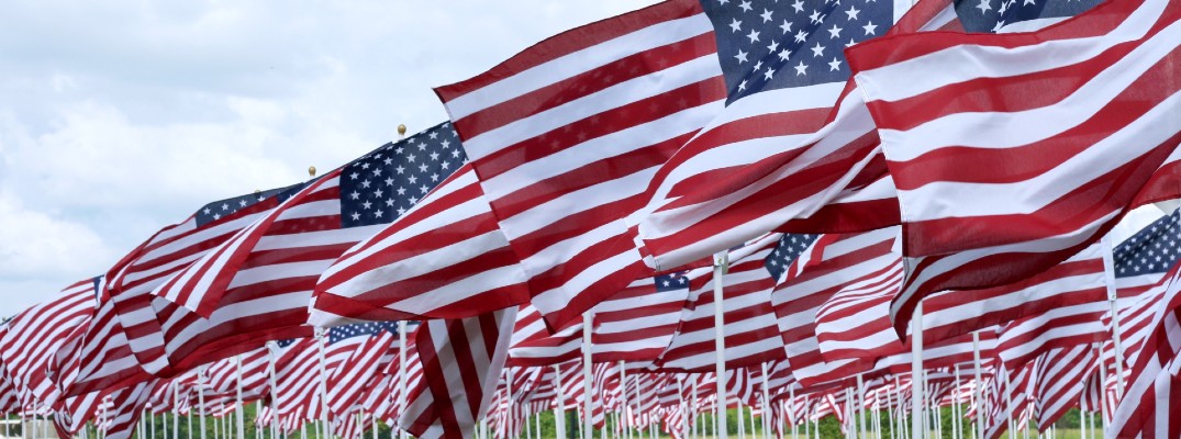 A stock photo of several small flags in the ground.