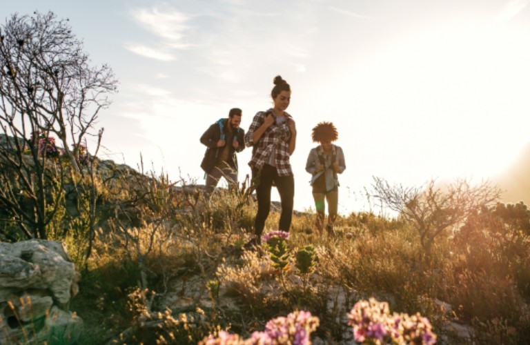 A small group of people walking along an off-road hiking trail in the sunlight.